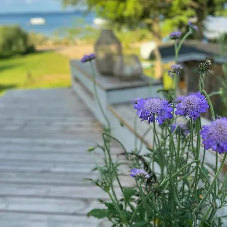 Summerhouse By The Little Belt With Sea View *